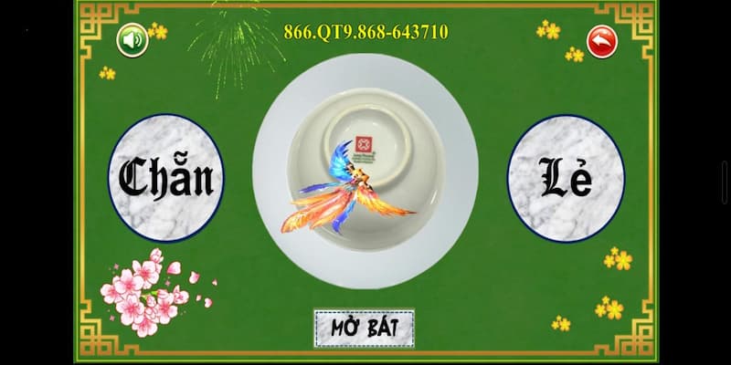 Xóc đĩa là gì luật chơi, cách đặt cược
